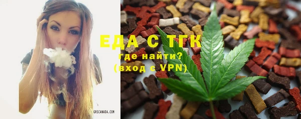индика Киренск