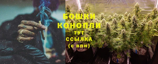 индика Киренск