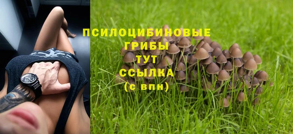 индика Киренск