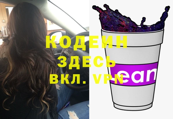 индика Киренск