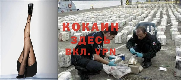 индика Киренск