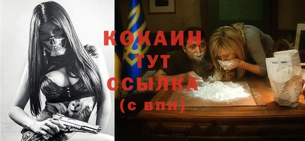 индика Киренск