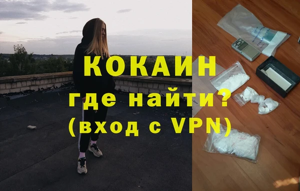 индика Киренск