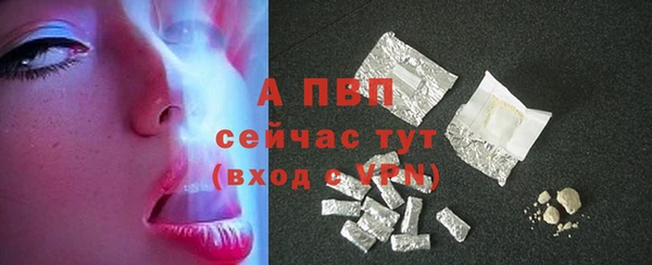 индика Киренск