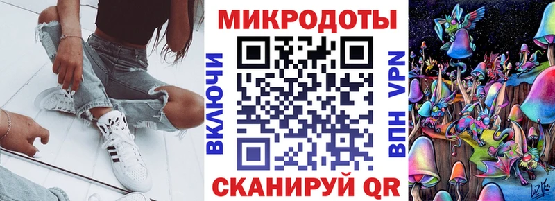 Купить где Канаш Галлюциногенные грибы Psilocybe